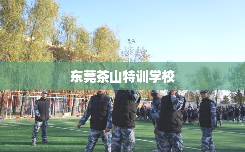 东莞茶山特训学校