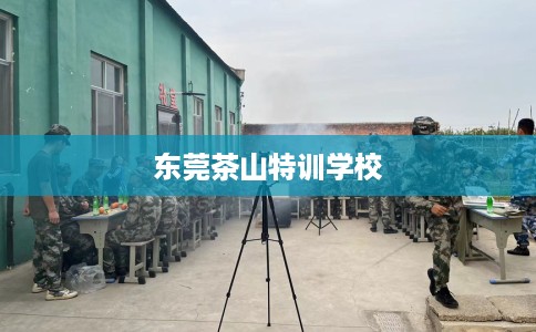 东莞茶山特训学校
