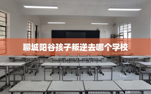 聊城阳谷孩子叛逆去哪个学校
