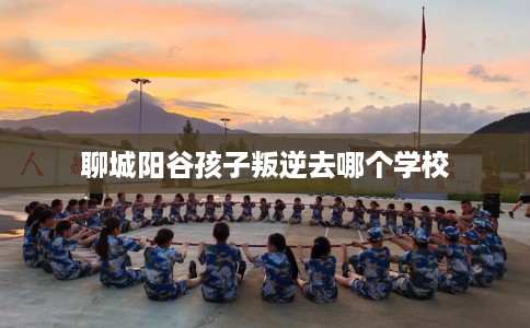聊城阳谷孩子叛逆去哪个学校