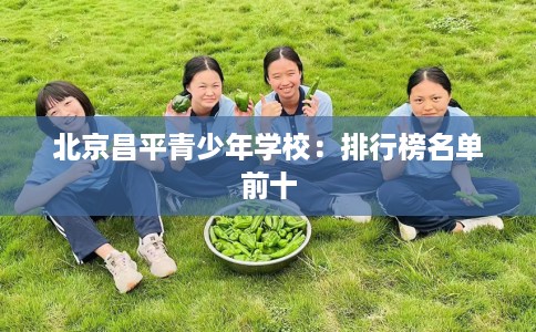 北京昌平青少年学校：排行榜名单前十