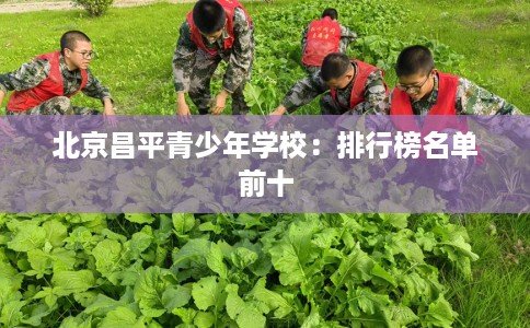 北京昌平青少年学校：排行榜名单前十
