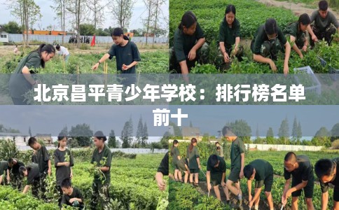 北京昌平青少年学校：排行榜名单前十