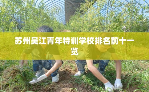 苏州吴江青年特训学校排名前十一览