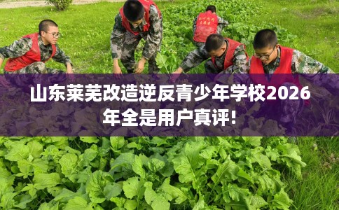 山东莱芜改造逆反青少年学校2026年全是用户真评!