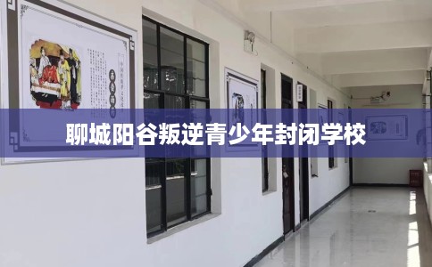 聊城阳谷叛逆青少年封闭学校
