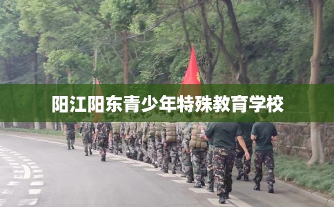 阳江阳东青少年特殊教育学校