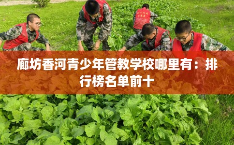 廊坊香河青少年管教学校哪里有：排行榜名单前十