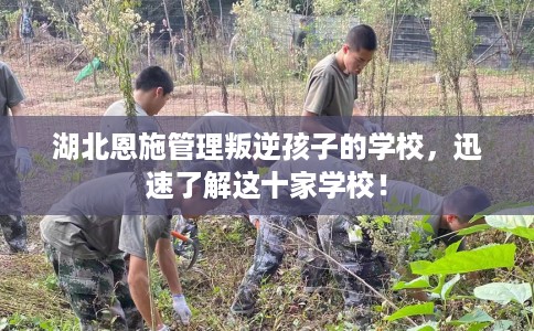 湖北恩施管理叛逆孩子的学校，迅速了解这十家学校！
