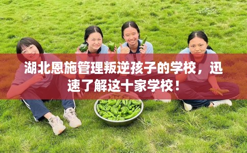 湖北恩施管理叛逆孩子的学校，迅速了解这十家学校！