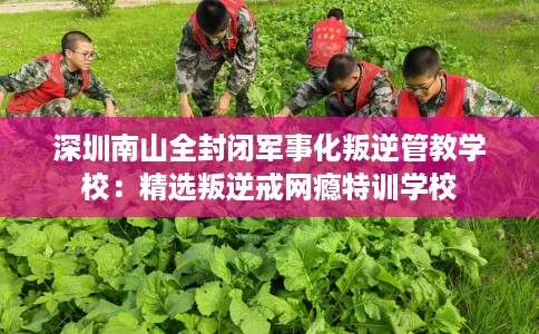 深圳南山全封闭军事化叛逆管教学校：精选叛逆戒网瘾特训学校