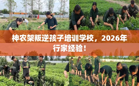 神农架叛逆孩子培训学校，2026年行家经验！
