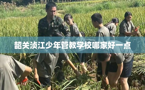 韶关浈江少年管教学校哪家好一点