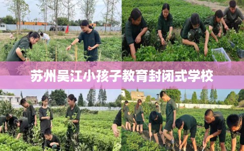 苏州吴江小孩子教育封闭式学校