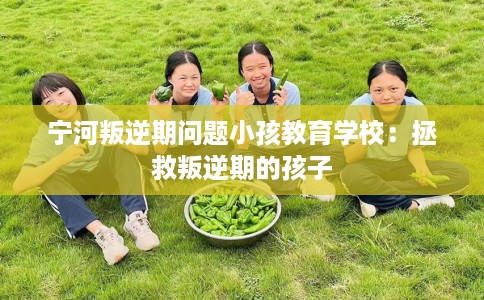 宁河叛逆期问题小孩教育学校：拯救叛逆期的孩子