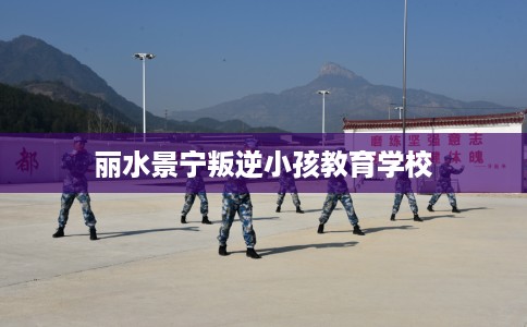 丽水景宁叛逆小孩教育学校