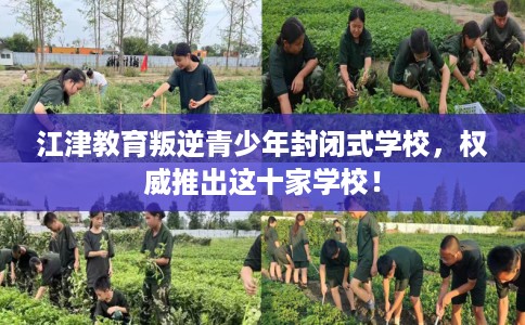 江津教育叛逆青少年封闭式学校，权威推出这十家学校！