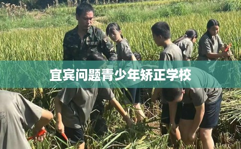 宜宾问题青少年矫正学校