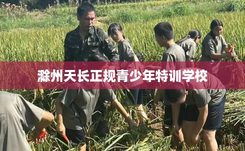 滁州天长正规青少年特训学校