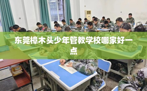 东莞樟木头少年管教学校哪家好一点