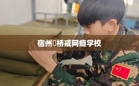 宿州埇桥戒网瘾学校