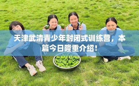 天津武清青少年封闭式训练营，本篇今日隆重介绍！