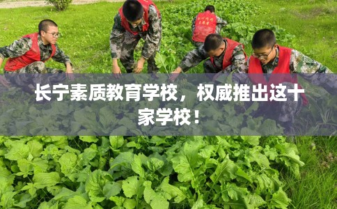 长宁素质教育学校，权威推出这十家学校！