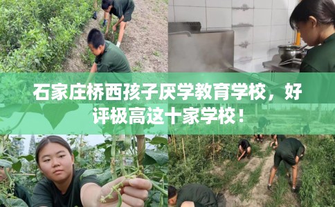 石家庄桥西孩子厌学教育学校，好评极高这十家学校！