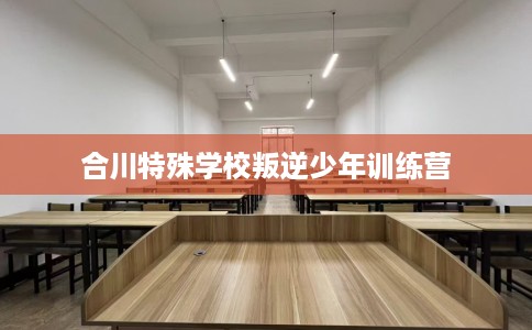 合川特殊学校叛逆少年训练营