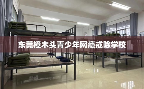 东莞樟木头青少年网瘾戒除学校
