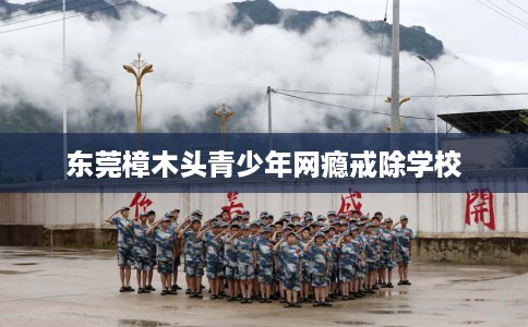 东莞樟木头青少年网瘾戒除学校