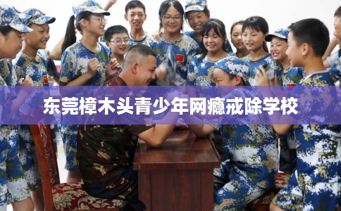 东莞樟木头青少年网瘾戒除学校