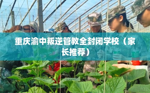 重庆渝中叛逆管教全封闭学校（家长推荐）