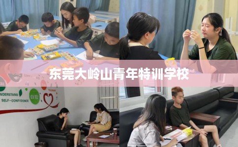 东莞大岭山青年特训学校