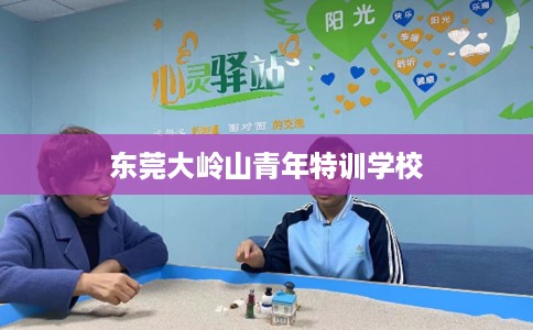 东莞大岭山青年特训学校