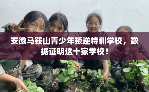 安徽马鞍山青少年叛逆特训学校，数据证明这十家学校！