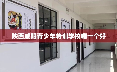 陕西咸阳青少年特训学校哪一个好