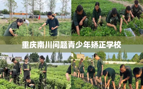 重庆南川问题青少年矫正学校