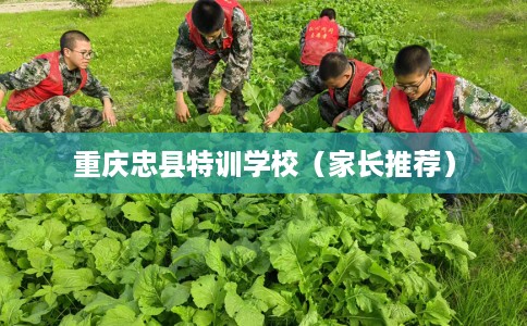 重庆忠县特训学校（家长推荐）