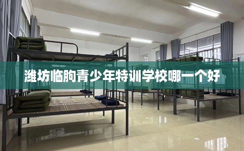 潍坊临朐青少年特训学校哪一个好