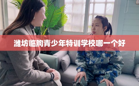 潍坊临朐青少年特训学校哪一个好