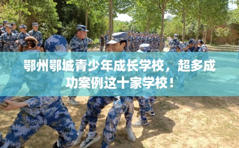 鄂州鄂城青少年成长学校，超多成功案例这十家学校！