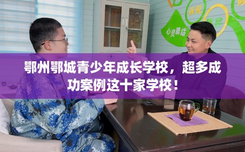 鄂州鄂城青少年成长学校，超多成功案例这十家学校！