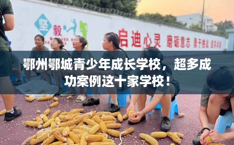 鄂州鄂城青少年成长学校，超多成功案例这十家学校！