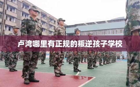 卢湾哪里有正规的叛逆孩子学校