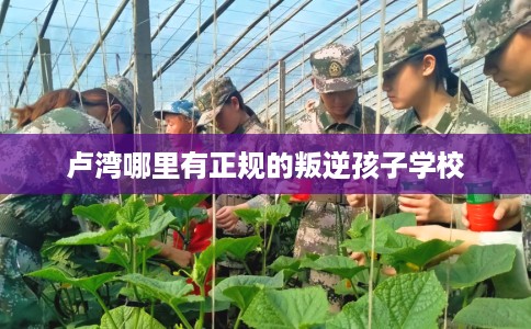 卢湾哪里有正规的叛逆孩子学校