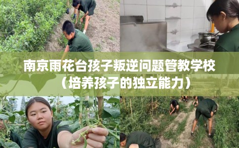 南京雨花台孩子叛逆问题管教学校（培养孩子的独立能力）