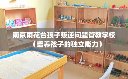 南京雨花台孩子叛逆问题管教学校（培养孩子的独立能力）