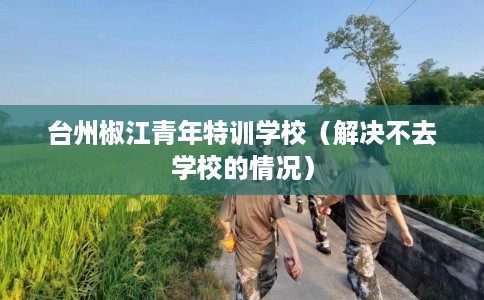 台州椒江青年特训学校（解决不去学校的情况）
