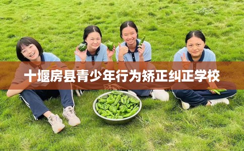 十堰房县青少年行为矫正纠正学校